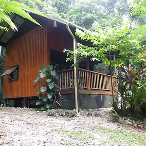 Bed & Breakfast Epiphyte Cow Bay